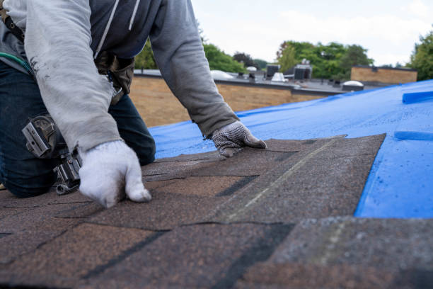 Best Roof Gutter Cleaning  in Burnettown, SC